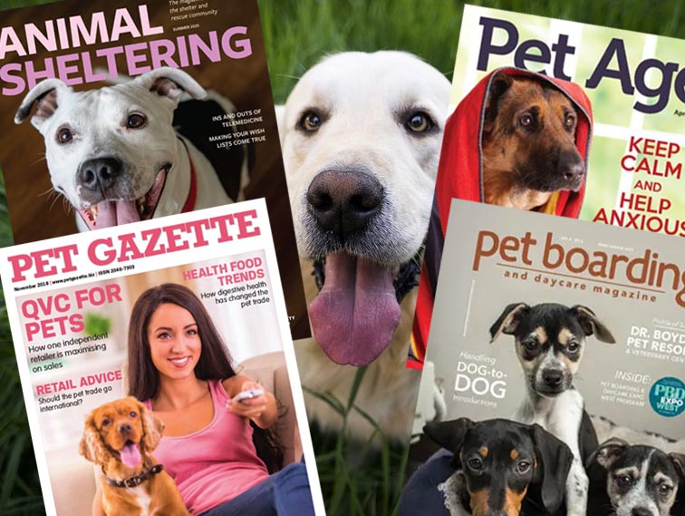 Top 10 Pet Magazines in America