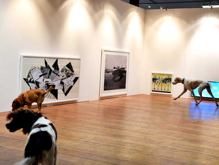 Pet-Friendly Art Galleries in Texas